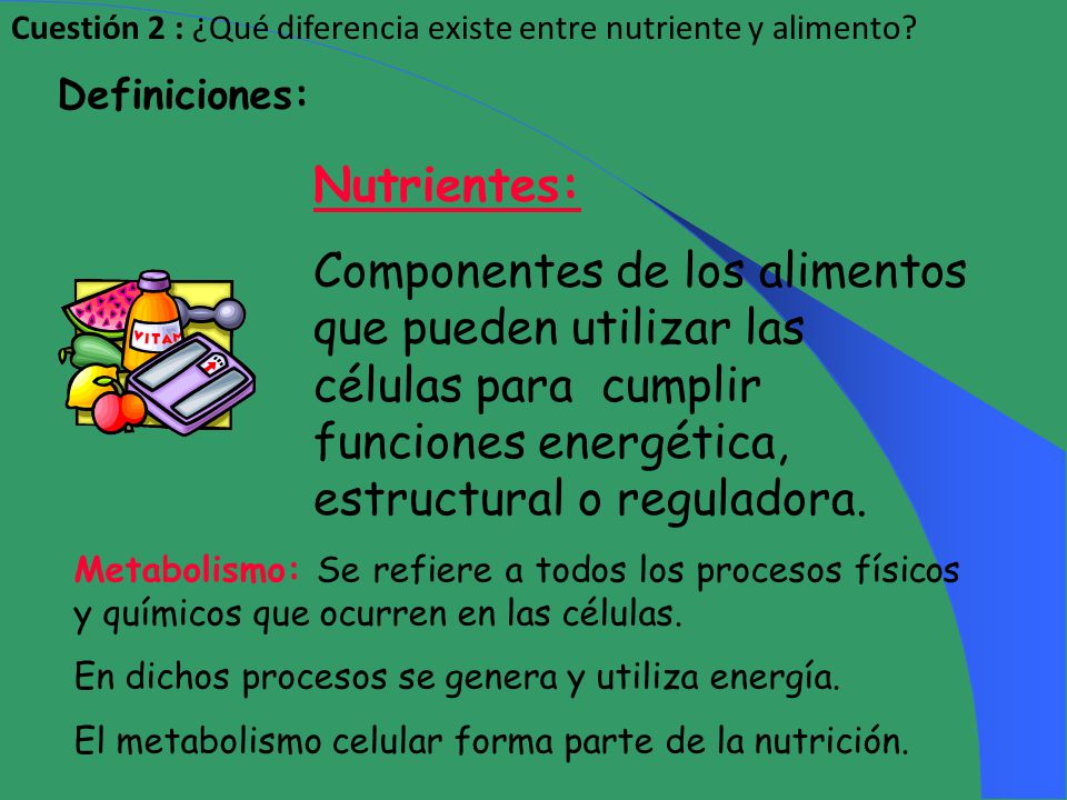 Diferencia entre comida alimento y nutriente Diferencia entre comida alimento y nutriente